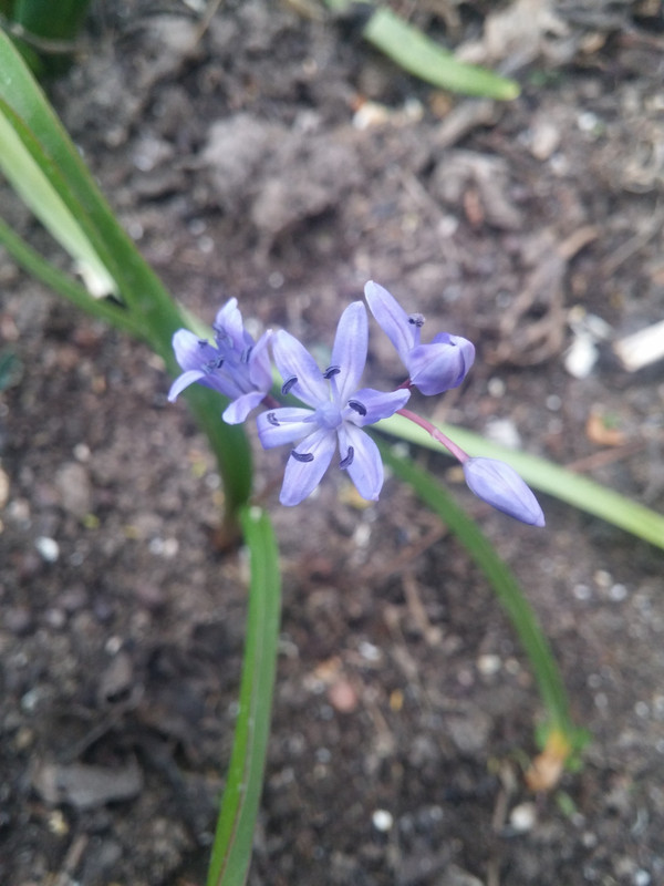 20190302_165344