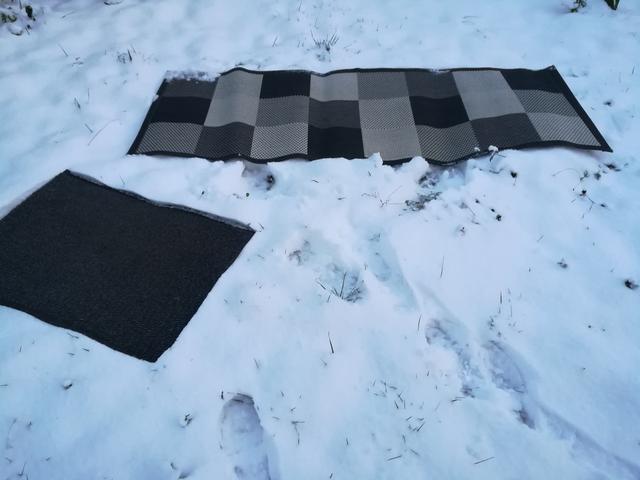 Kép