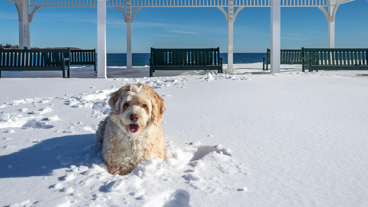Maine Beach Fedruary