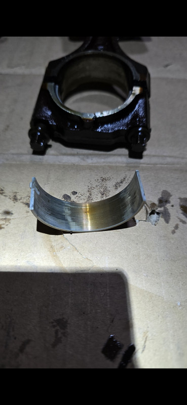 Screenshot 20260218 203736 Gallery