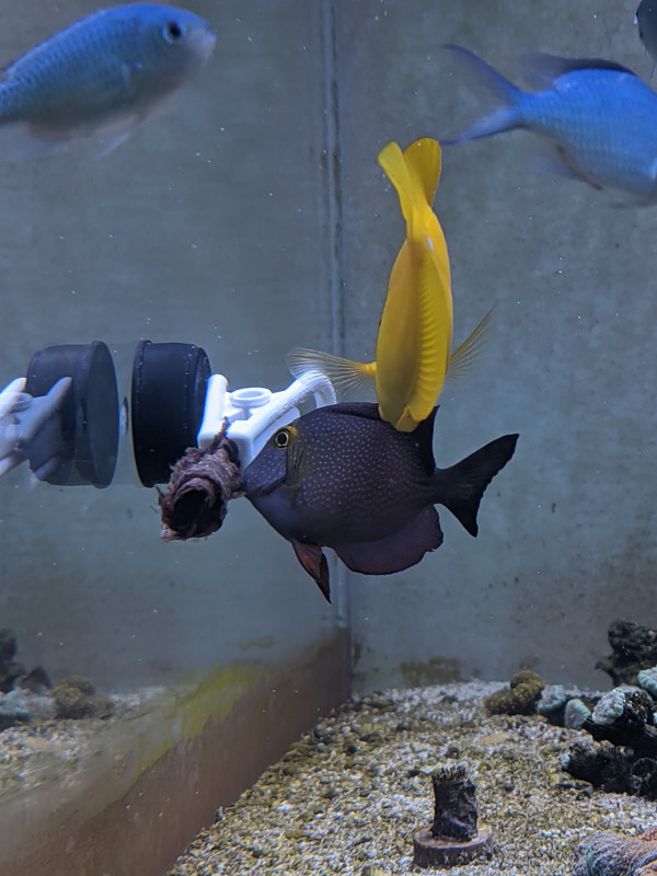 00000IMG_00000_BURST20210602192433029_COVER