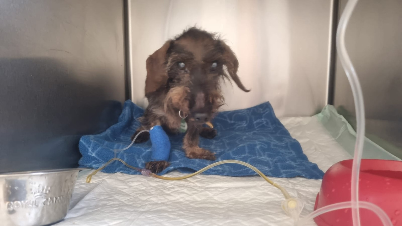 [Image: IMG-20250101-WA0005.jpg]