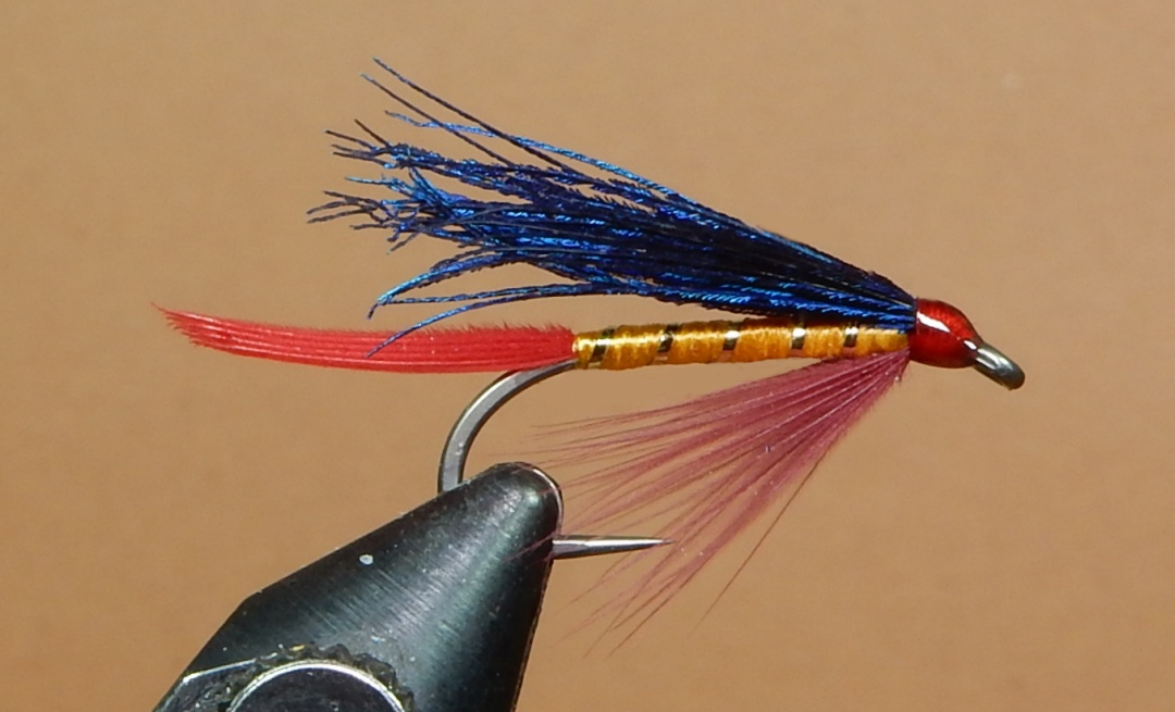 Ilen-Blue-1080.jpg