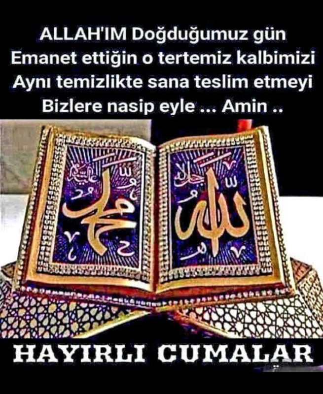 resim