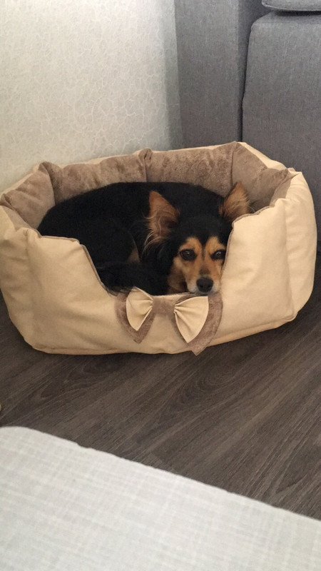 6DD2387A-803D-4206-9FC2-757D7748768F