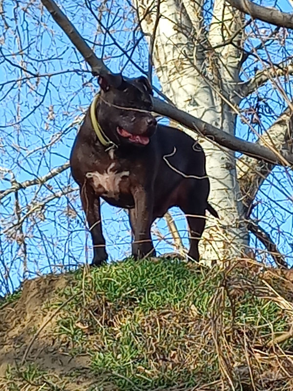 B3D20CF9-C8EF-44E4-ADD8-25681E4CB729