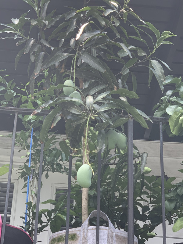 F45078D6-B6E6-44F2-A44C-C89F19518D41