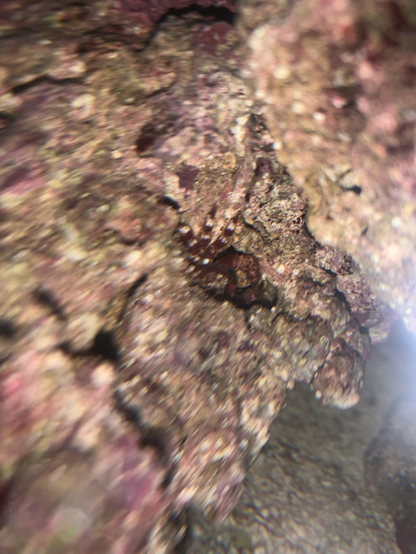 DF4A9B13-1CCC-4C24-ABA1-B7F599A39FB6