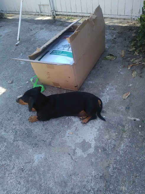 [Image: Gardien3.jpg]