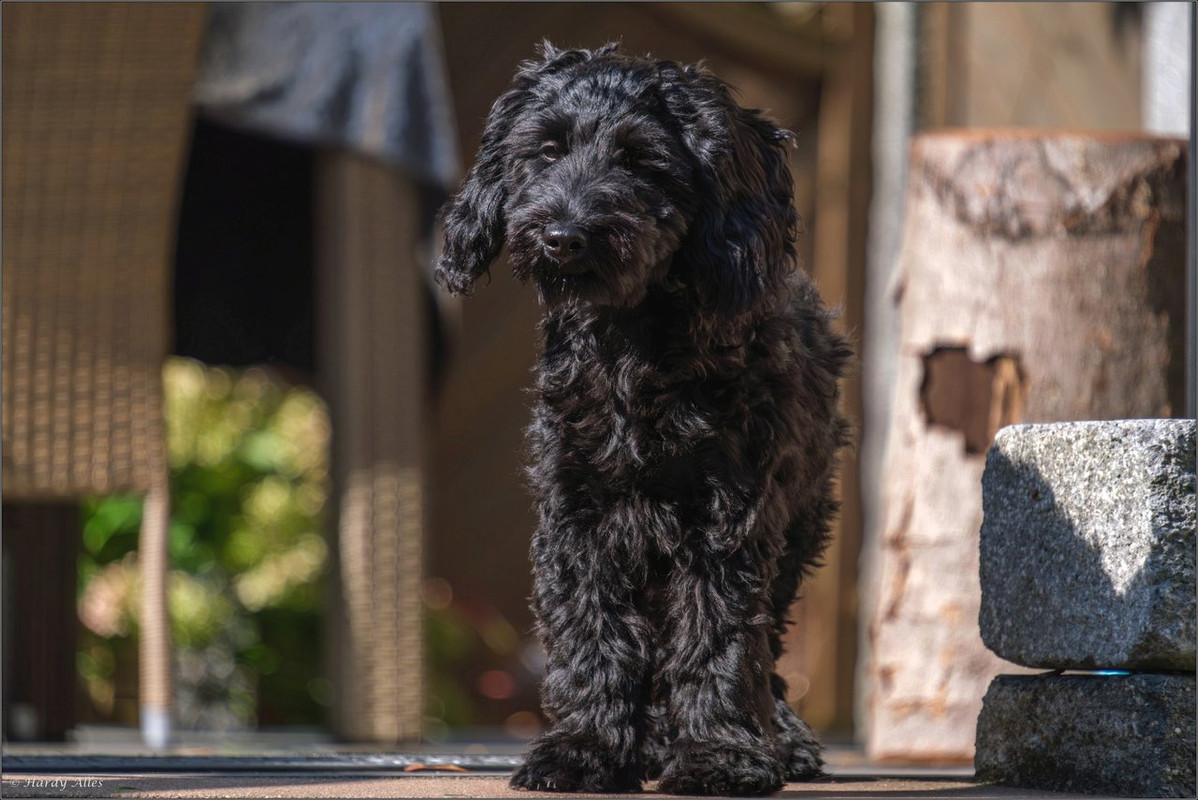 XT4I7960-Verbessert-RR 2024 Tannenweg LR ERWZ FB