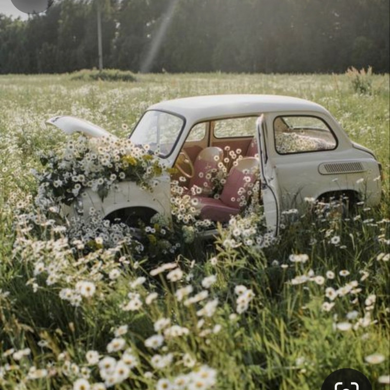 Screenshot_20240331_001134_Pinterest