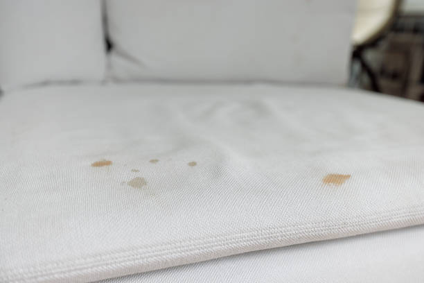 Kissimmee Bed Bug Treatment