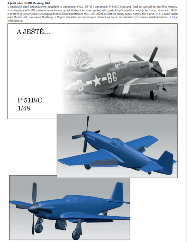 P51BC48.png