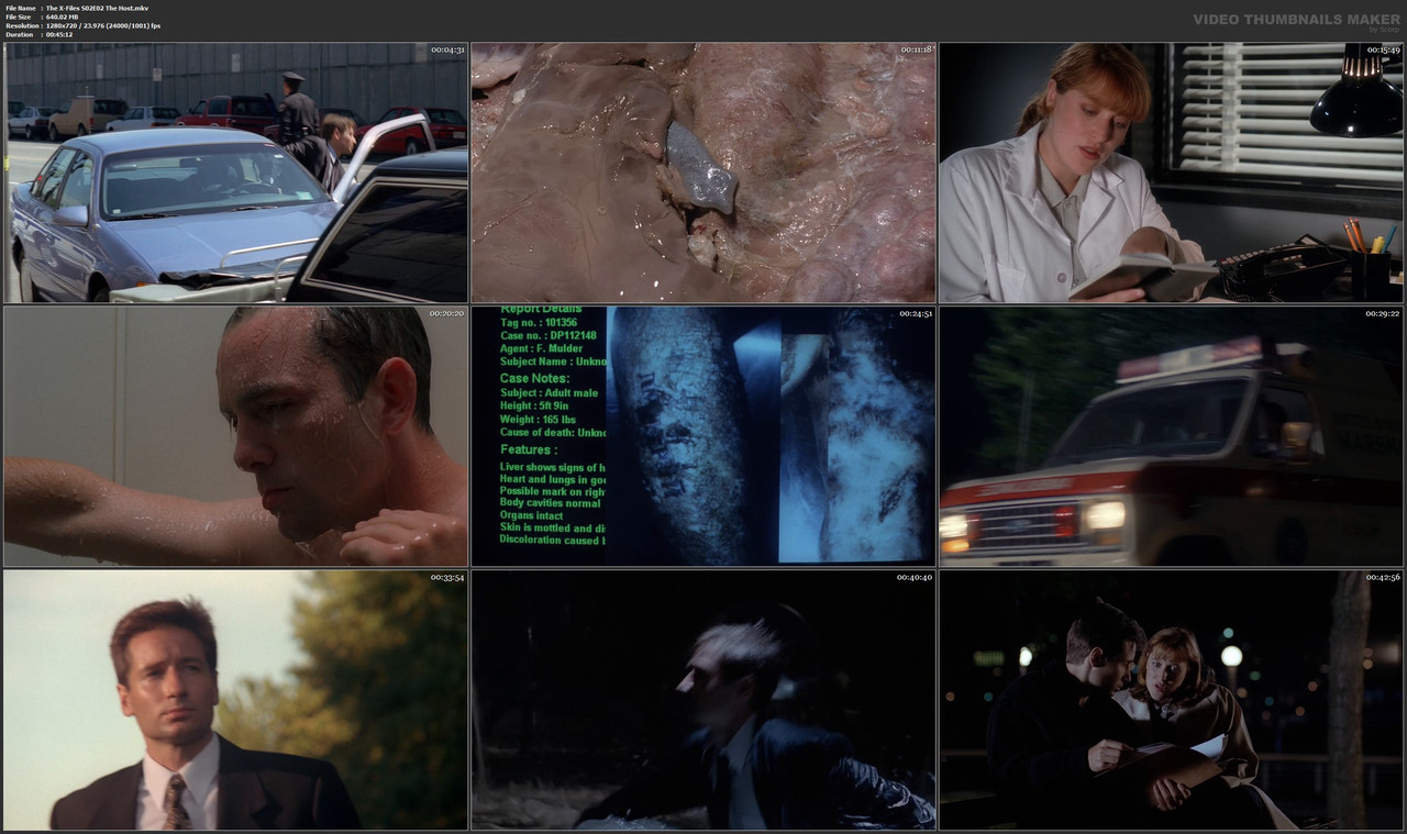 The X-Files S02E02 The Host.mkv