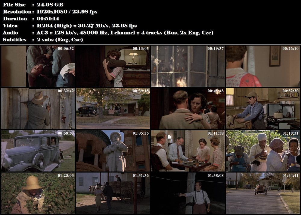 Místa v srdci / Places in the Heart (1984)
