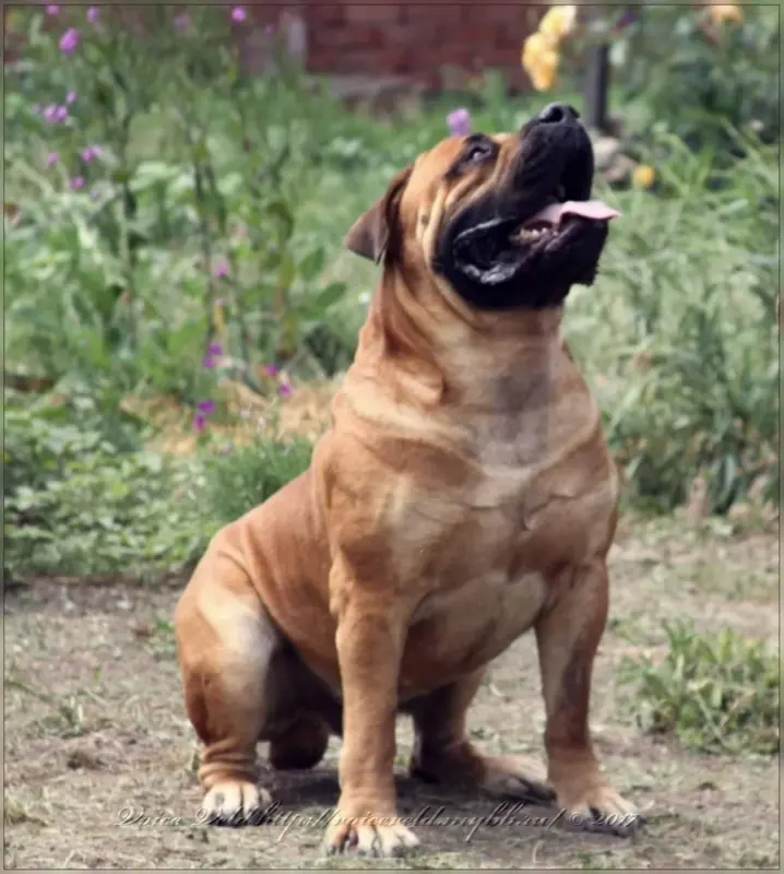 uyev62nOAKEV41gyhj9ZZN8u8fLJWxy6J7M9PkwoSJt4dgiyk3_nc6gq4JNyM_agylBHFzS6lWJITIeUto82mUIb