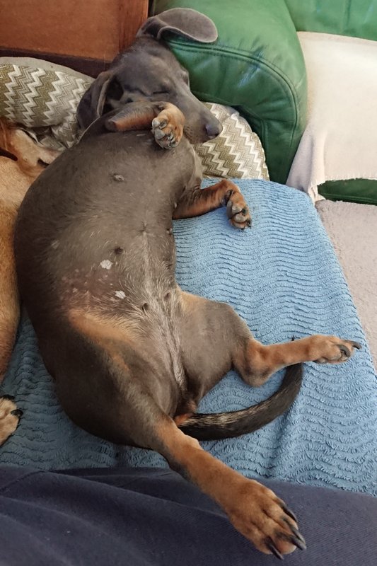 [Image: DSC-4023.jpg]