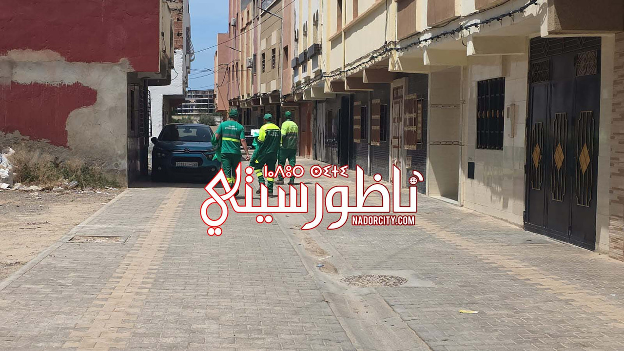 Whats-App-Image-2026-05-25-at-15-18-42-(1)