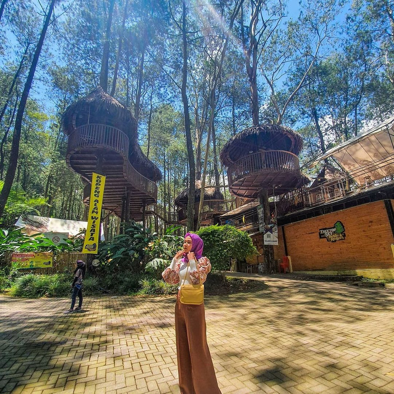 Kopeng Treetop.