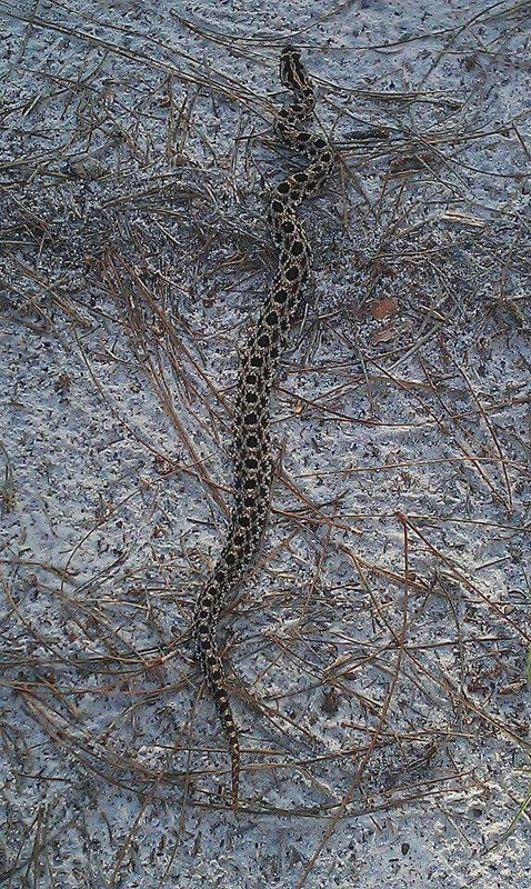 FB_IMG_1503292662032