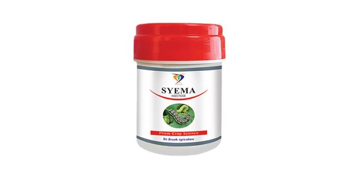 syema-preview-rev-1