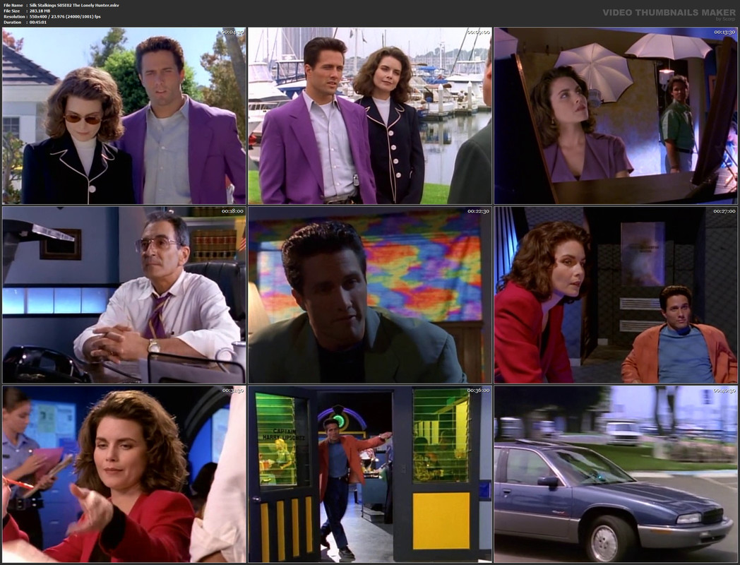 Silk Stalkings S05E02 The Lonely Hunter.mkv