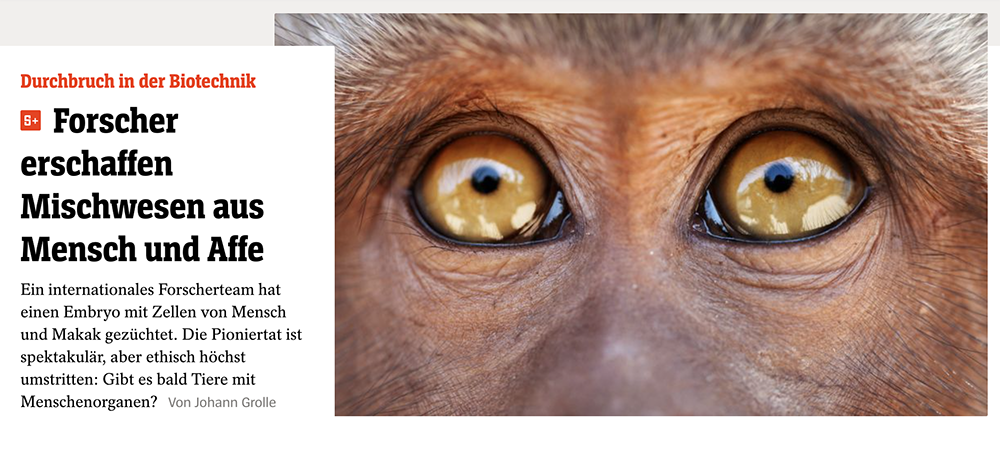 Menschen stammen NICHT vom Affen ab! - Seite 2 Bildschirmfoto-2021-04-15-um-18-19-04