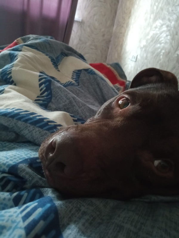 B3080D53-0034-407D-A04E-6DDE5E4D7B25