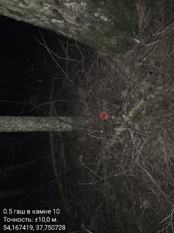 Без названия (1)