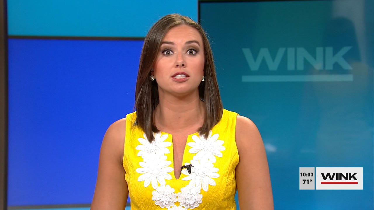 03.14 - 14.00.00 - WINK News at 9 00 a.m..ts_snapshot_00.06.24.373