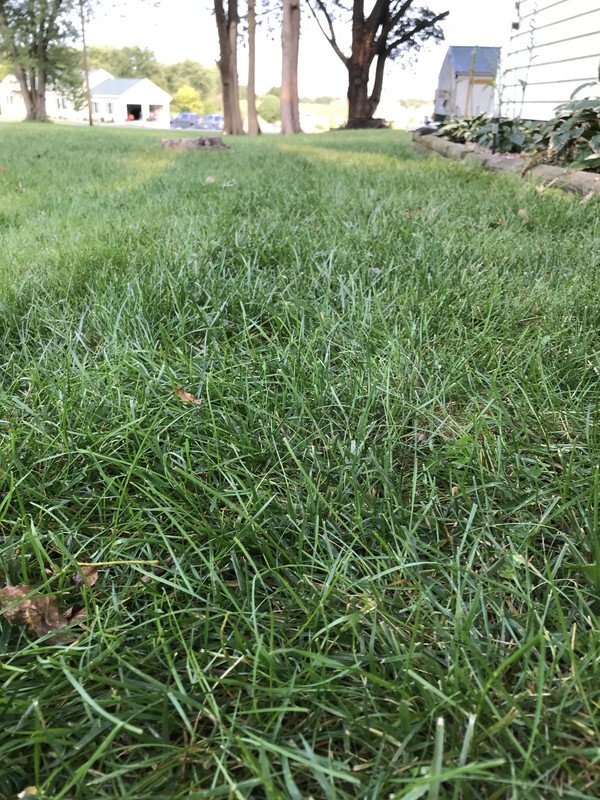 0424131A-89D8-423A-BC57-7D1A7B909E6D