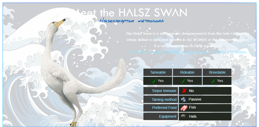 HALSZ-SWAN-00-MEET-THE-HALSZ-SWAN.png