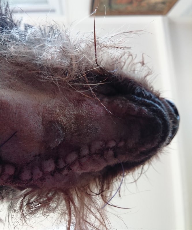 [Image: 20240321-154333.jpg]