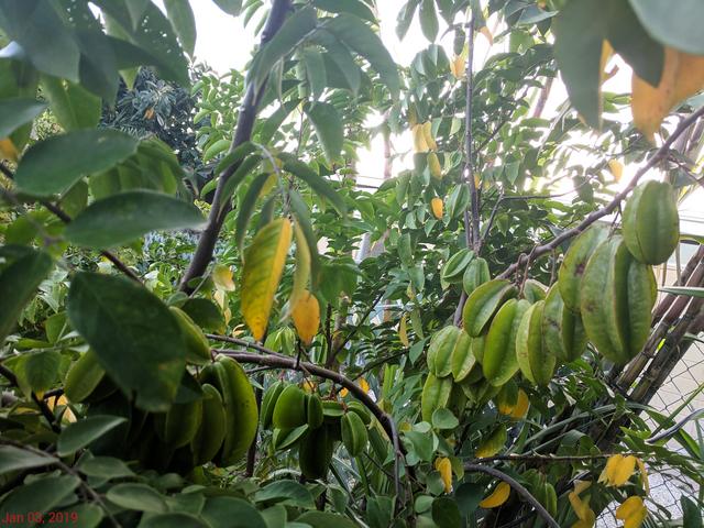 [Image: IMG-20190103-173100.jpg]