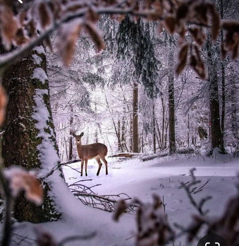 Screenshot_20231210_232840_Pinterest