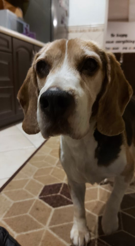 263704429_918040675512982_2956070188405848785_n