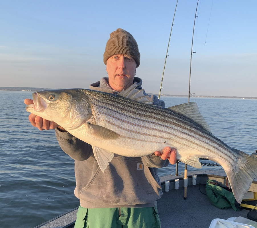 59BBA1B4-A67A-4B74-81B2-80BB666AD325