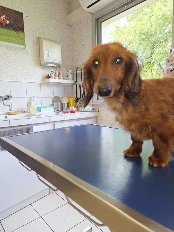 [Image: 20240524-162047.jpg]