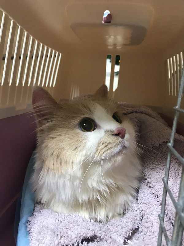 28334B67-4D81-471D-BDEA-86BFAA2DC1EB