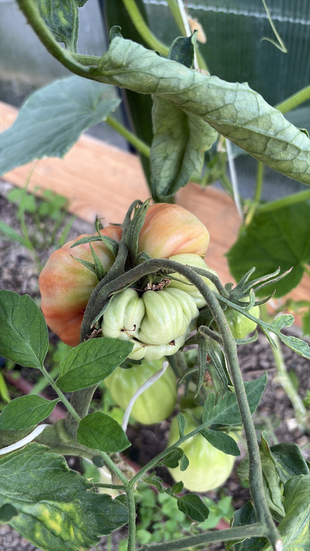 396F923F-E964-436D-A89E-339CAD6451A6