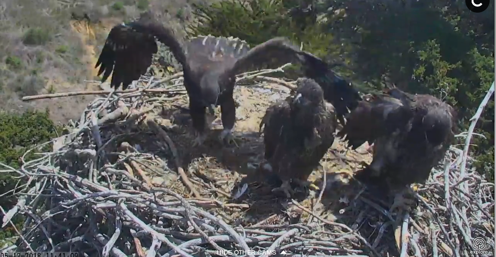 Képernyőkép – 2018-05-12 20-43-44