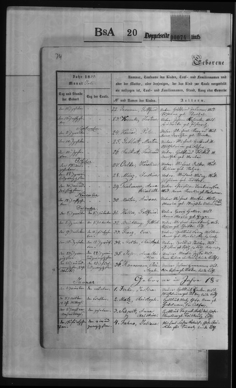 1833 Haller Gottfried 8003564(88)