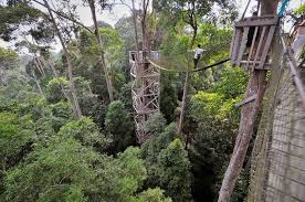 4 Tempat Wisata di IKN yang Menarik Untuk Dikunjungi