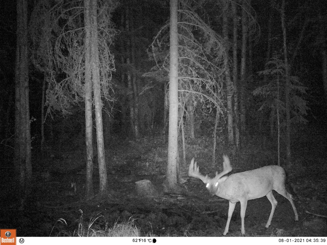 09D6419A-3B30-4A02-8BFC-1BB9B2D84C57