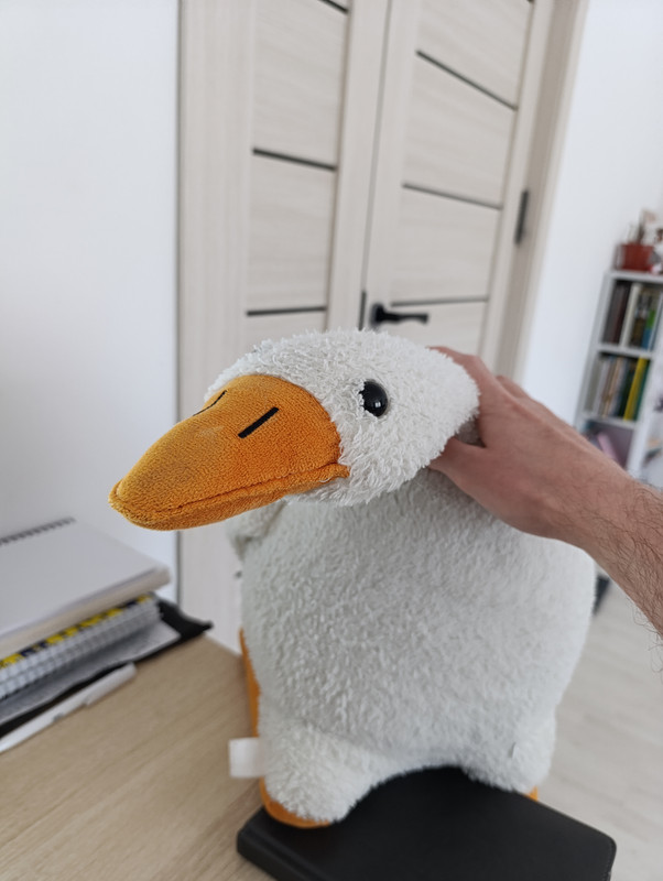 user posted image