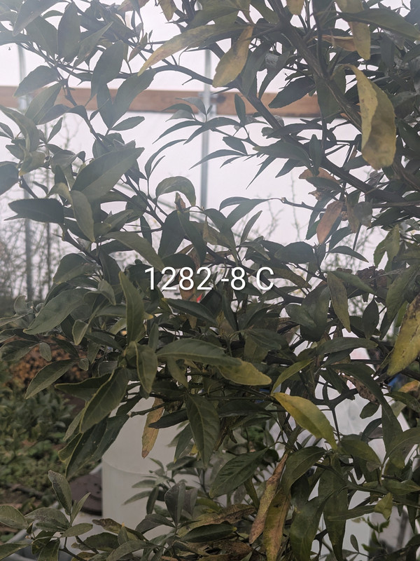 PXL 20260107 174307965 2