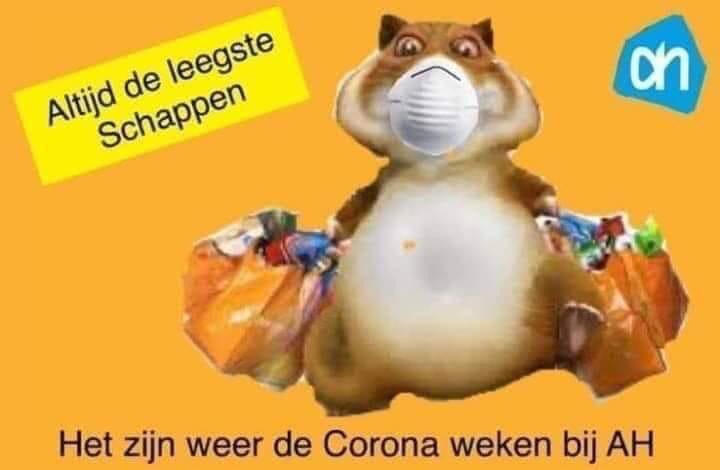 Whats-App-Image-2020-03-14-at-17-09-09.jpg
