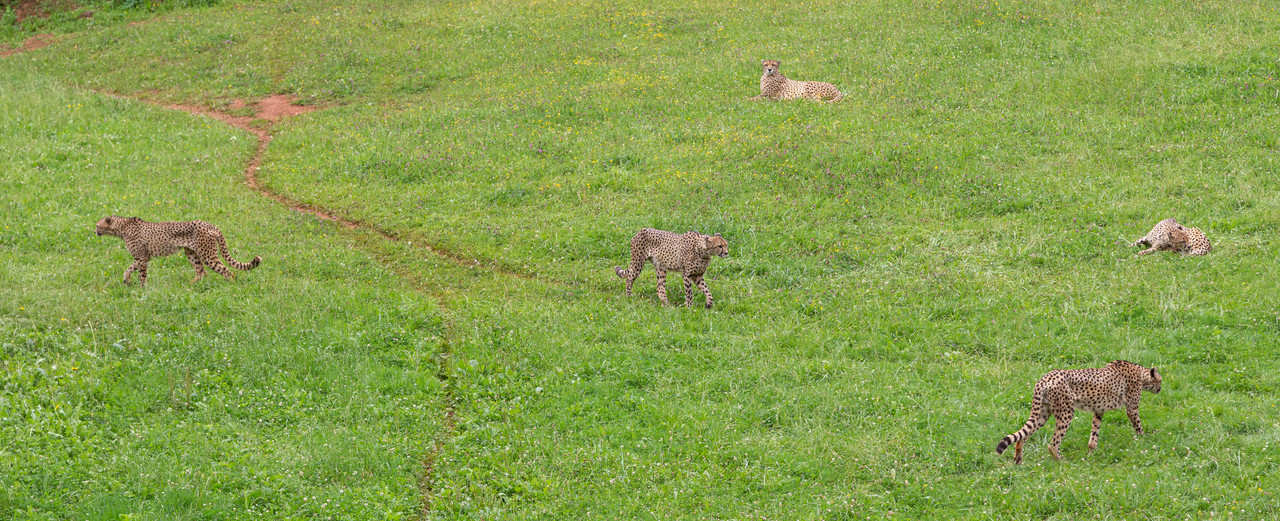 CABÁRCENO - CANTABRIA (4)