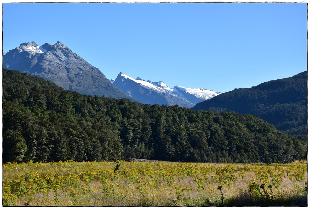 Mt Aspiring NP: Rees-Dart Track y Cascade Saddle (febrero 2023) - Escapadas y rutas por la Nueva Zelanda menos conocida (63)