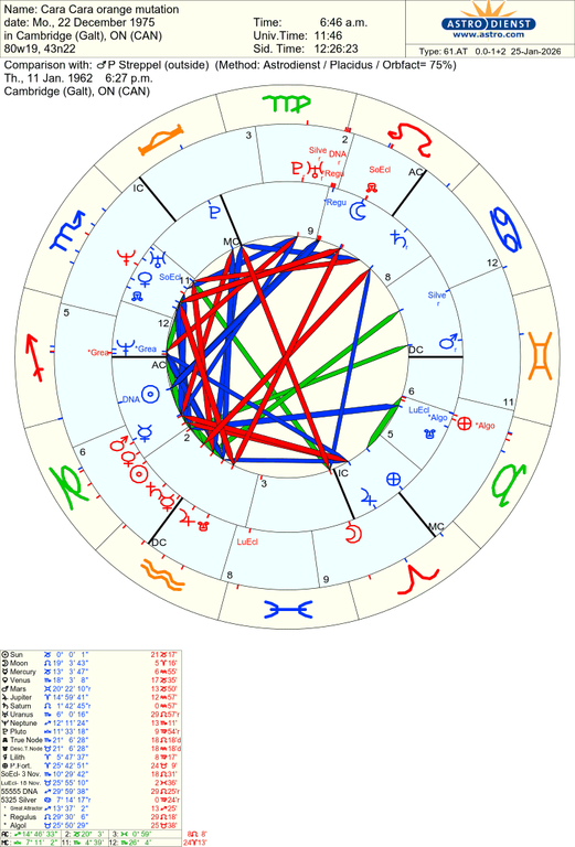 astro 61at cara cara orange mutation p streppel 59278 1587184